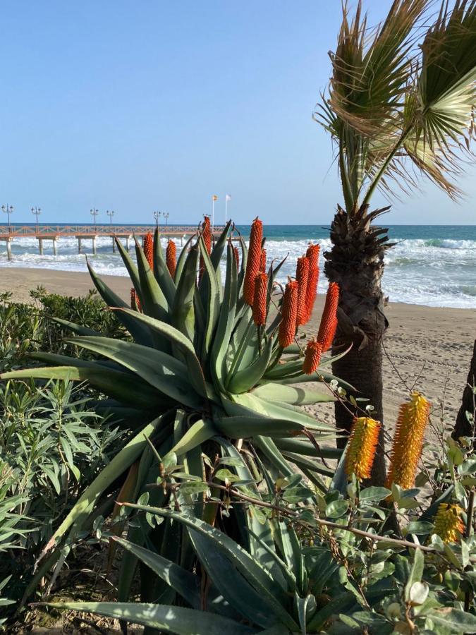 Blue Lady By The Sea Apartment Fuengirola Bagian luar foto